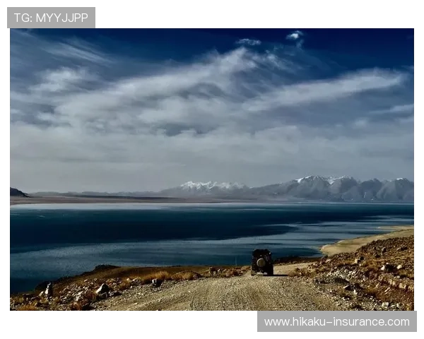 开云真人官网登录促销信息，第一时间掌握最新优惠活动内容