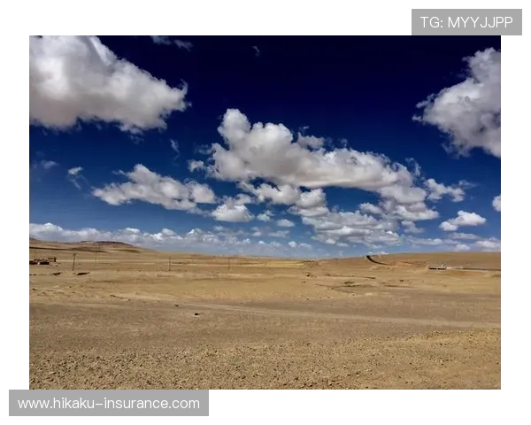 开云网址官方地址查询方法，轻松找到官方唯一入口的详细步骤