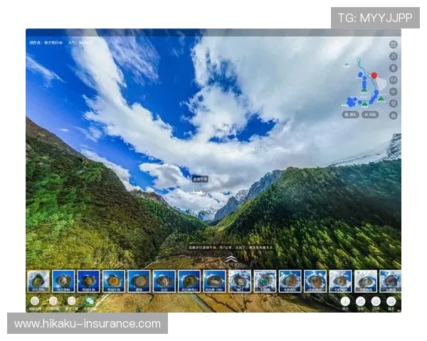 开云完美体育app登录过程中遇到验证码问题的解决方案确保顺利完成登录操作